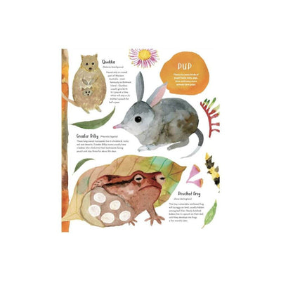 Australia's Baby Animals-baby_gifts-Mornington_Peninsula-toys_online-Australia