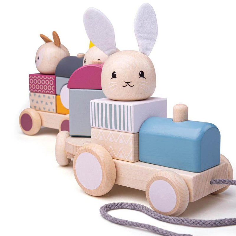 Bigjigs Activity Pull Along Train-first_birthday_gifts-baby_gifts-Australia