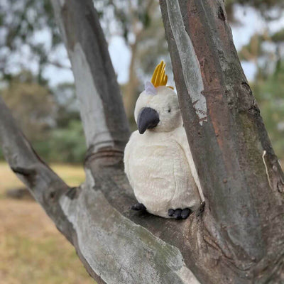 toy_shop-Mornington_Peninsula-Furfolk Cockatoo-baby_gifts-Australia