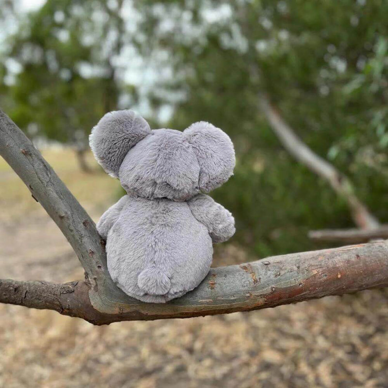 Furfolk Koala-first_birthday_gifts-toy_shop-Mornington_Peninsula-Australia