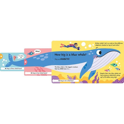 How Wide is a Whale?-baby_gifts-kids_books-toys-Mornington_Peninsula