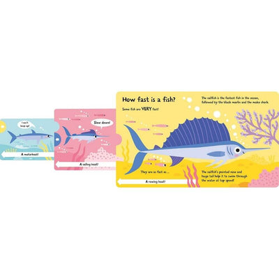 How Wide is a Whale?-baby_gifts-kids_books-toys-Mornington_Peninsula