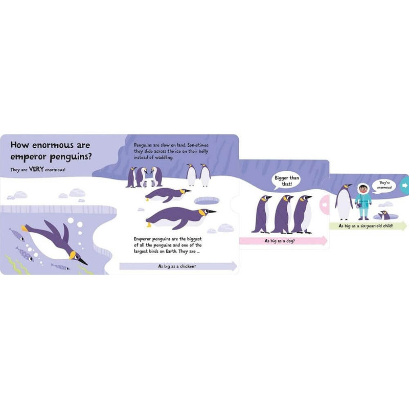 How Wide is a Whale?-baby_gifts-kids_books-toys-Mornington_Peninsula