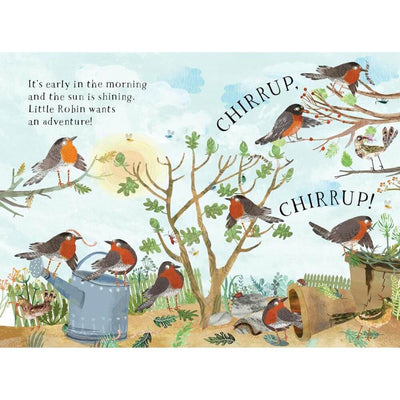 Little Robin's Book of Birds-baby_gifts-toy_shop-Mornington_Peninsula-Australia