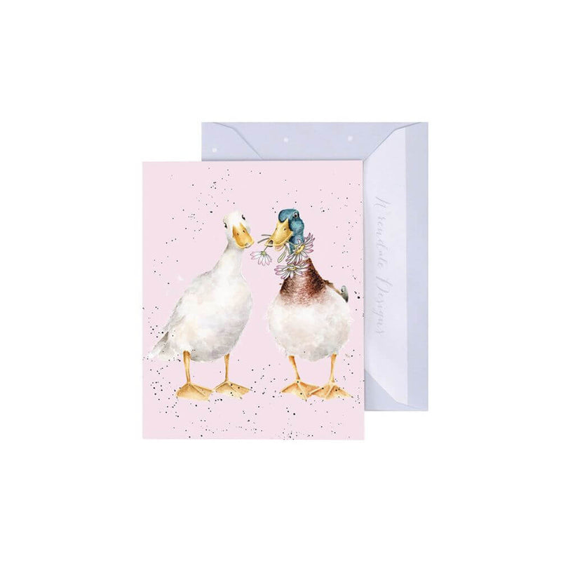 Mini Card - Not a Daisy Goes By-baby_gifts-Mornington_Peninsula-toys_online-Australia