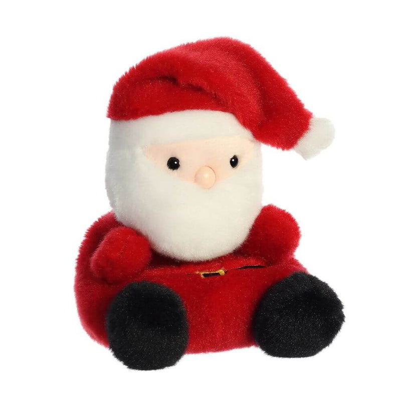 Palm Pals Santa