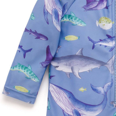 Purebaby Shark Print Swimsuit-baby_gifts-kids_toys-childrens_books-Mornington_Peninsula