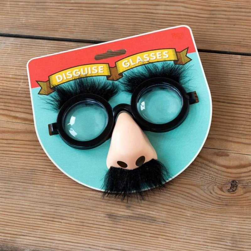 toy_shop_Mornington_Peninsula-Rex London Disguise Glasses-baby_gifts-Australia