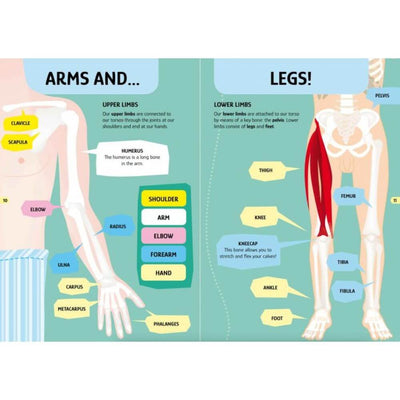 Sassi The Human Body Learn & Explore Puzzle 200pc-baby_gifts-toy_shop-Mornington_Peninsula-Australia