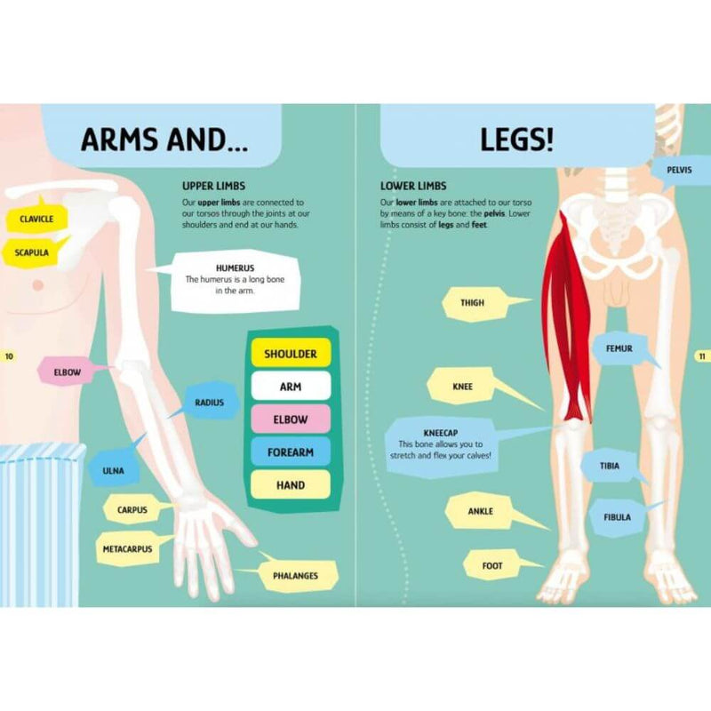 Sassi The Human Body Learn & Explore Puzzle 200pc-baby_gifts-toy_shop-Mornington_Peninsula-Australia