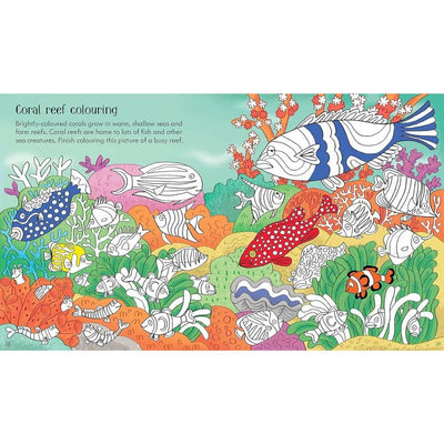 Usborne Little Children's Under the Sea Activity Book-best_baby_gifts-toy_shop_australia