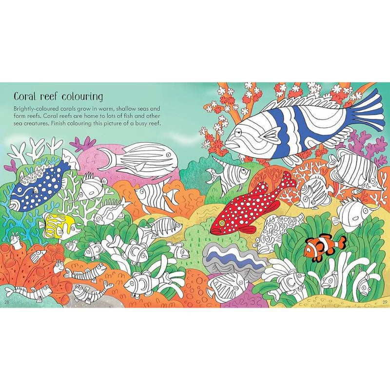 Usborne Little Children&