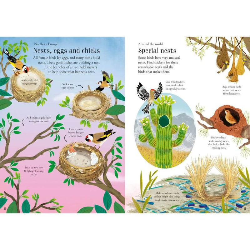 Usborne Little First Stickers Birds-Activity Books-The Enchanted Child