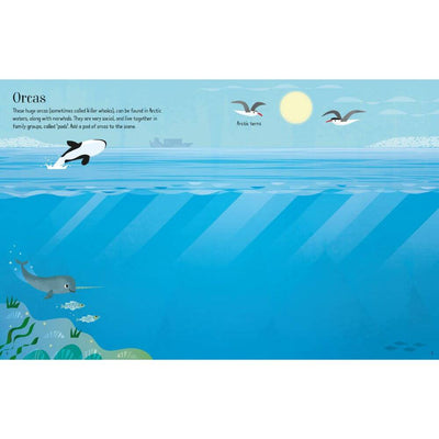 Usborne Little First Sticker Book: Narwhals-baby_gifts-toys-Mornington_Peninsula-Australia