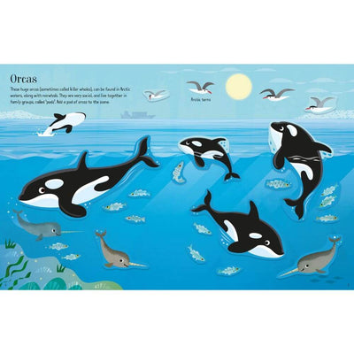 Usborne Little First Sticker Book: Narwhals-baby_gifts-toys-Mornington_Peninsula-Australia