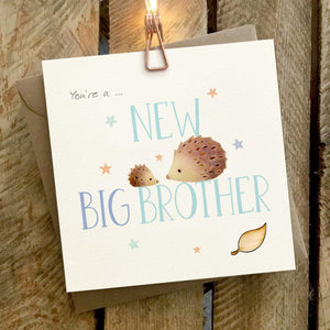 You're a New Big Brother Card-baby_gifts-toy_shop-Mornington_Peninsula-Australia