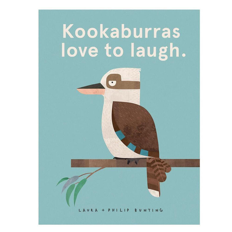 Kookaburras Love To Laugh