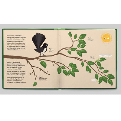 The Gentle Genius Of Trees