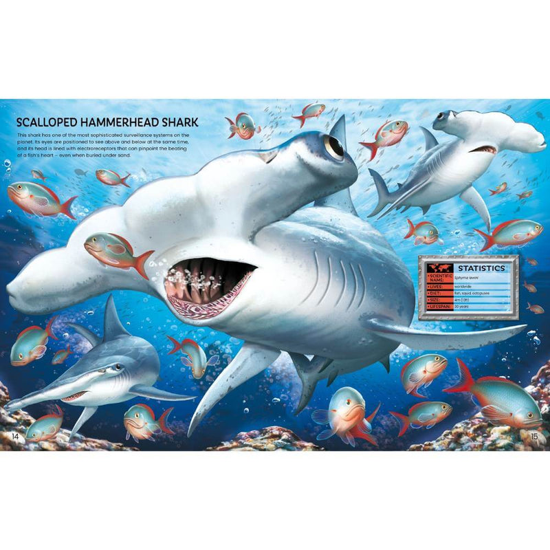 Usborne Build Your Own Sea Creatures-Kids Sticker Books-The Enchanted Child