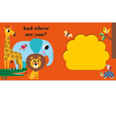 Felt Flaps: Where's Mr Lion